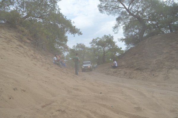 DSC_0208 (600 x 399).jpg