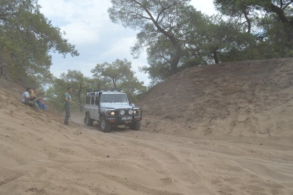 DSC_0209 (600 x 399).jpg