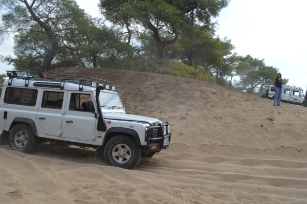 DSC_0210 (600 x 399).jpg