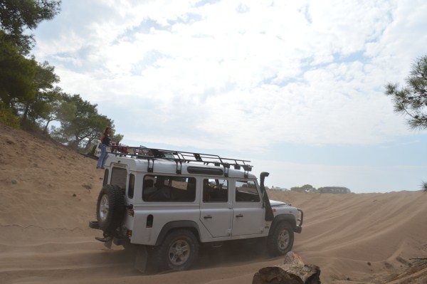 DSC_0211 (600 x 399).jpg