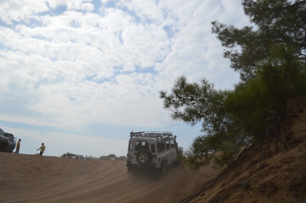 DSC_0212 (600 x 399).jpg