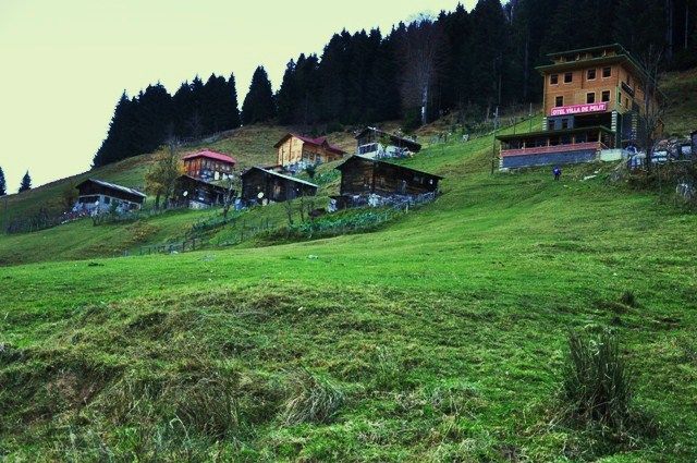 DSC_0215.jpg