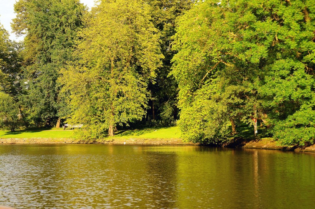 DSC_0258 (2)-001.JPG