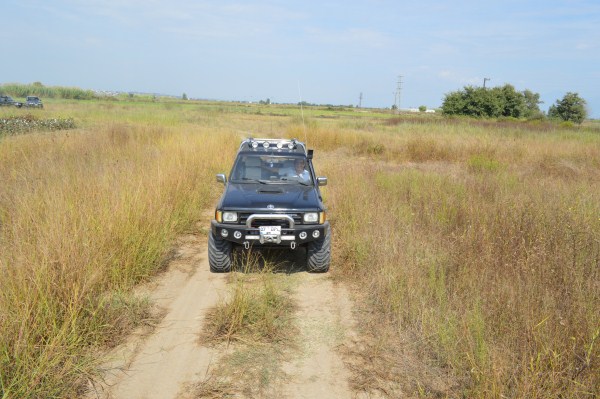 DSC_0320 (600 x 399).jpg