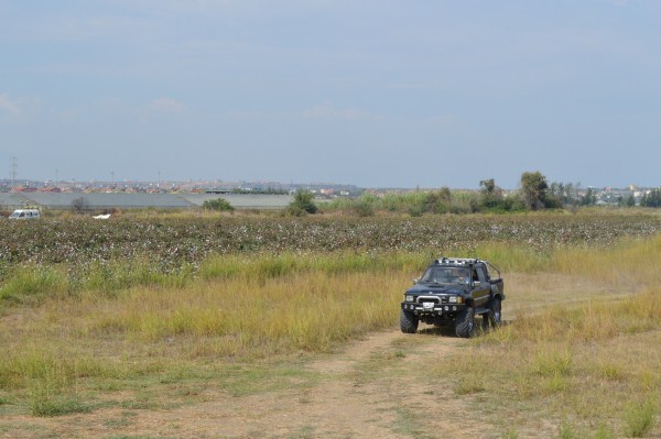 DSC_0331 (600 x 399).jpg