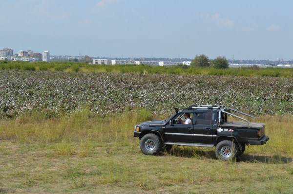 DSC_0332 (600 x 399).jpg