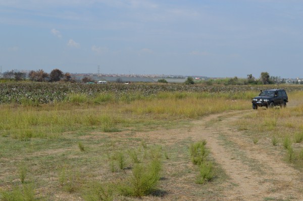 DSC_0333 (600 x 399).jpg