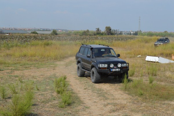 DSC_0334 (600 x 399).jpg