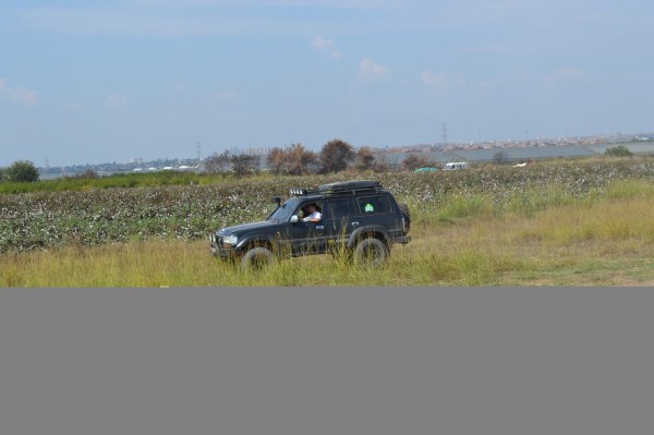 DSC_0339 (600 x 399).jpg