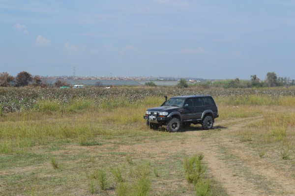 DSC_0340 (600 x 399).jpg