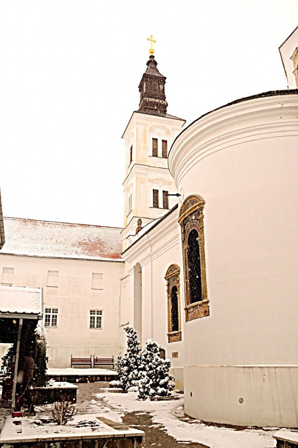 DSC_0354-001.JPG