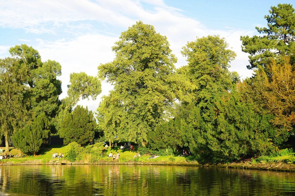 DSC_0355 (2)-001.JPG