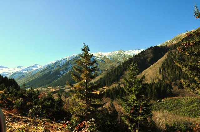 DSC_0366.jpg
