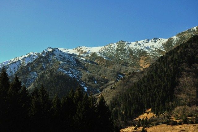 DSC_0367.jpg