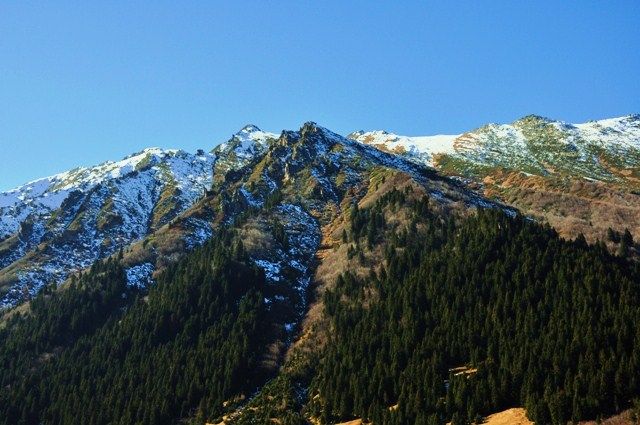 DSC_0369.jpg