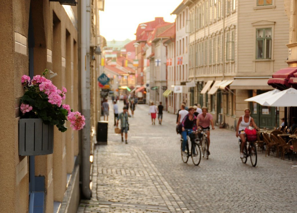 DSC_0392 (2)-001.JPG