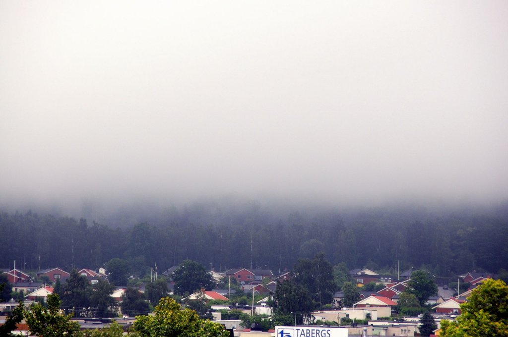 DSC_0404 (2)-001.JPG