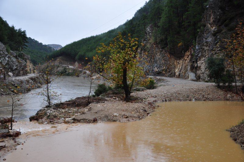 DSC_0412 [800x600].jpg