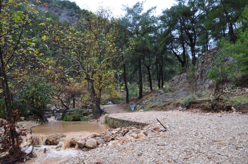 DSC_0414 [800x600].jpg