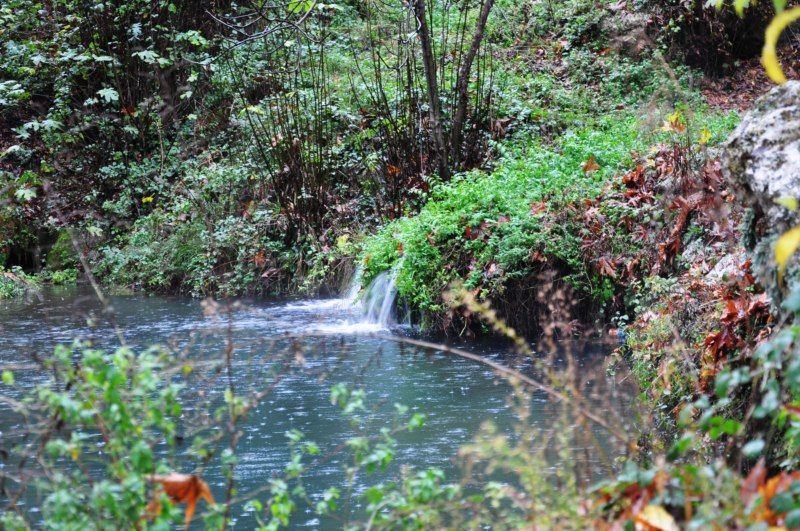 DSC_0422 [800x600].jpg