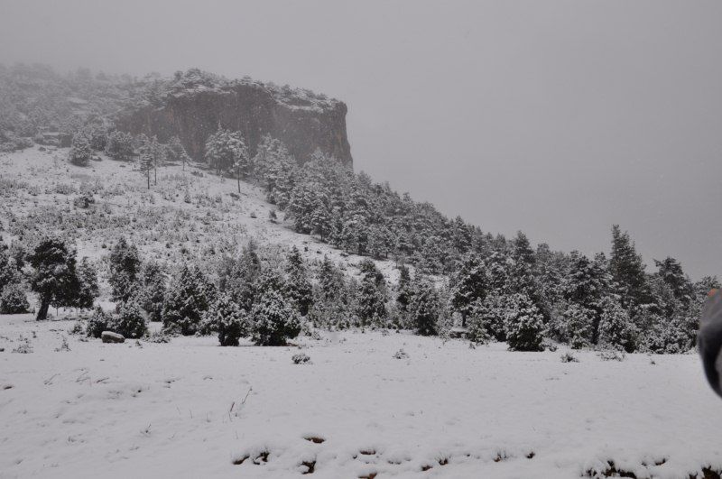 DSC_0429 [800x600].jpg