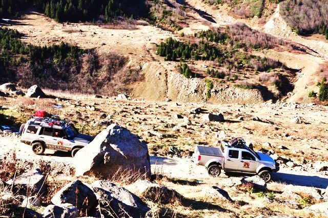 DSC_0431.jpg