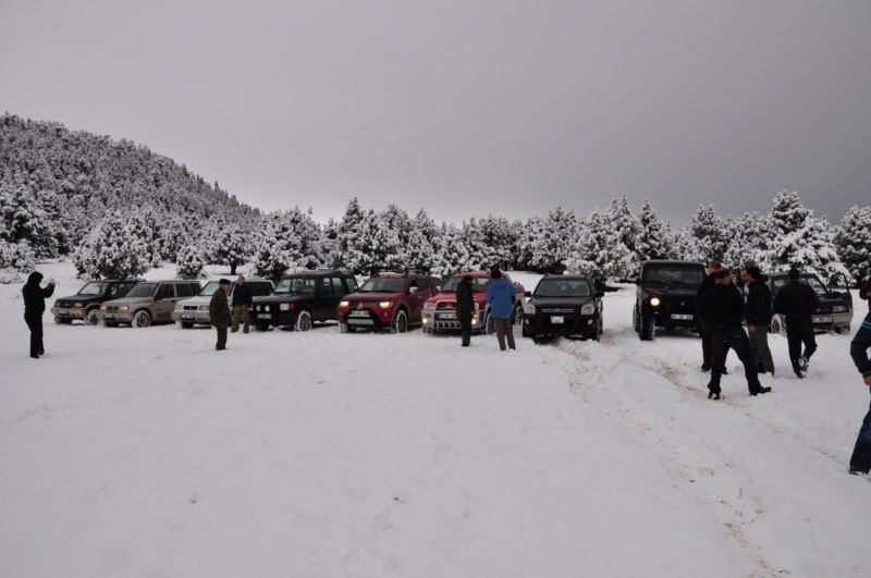 DSC_0434 [800x600].jpg