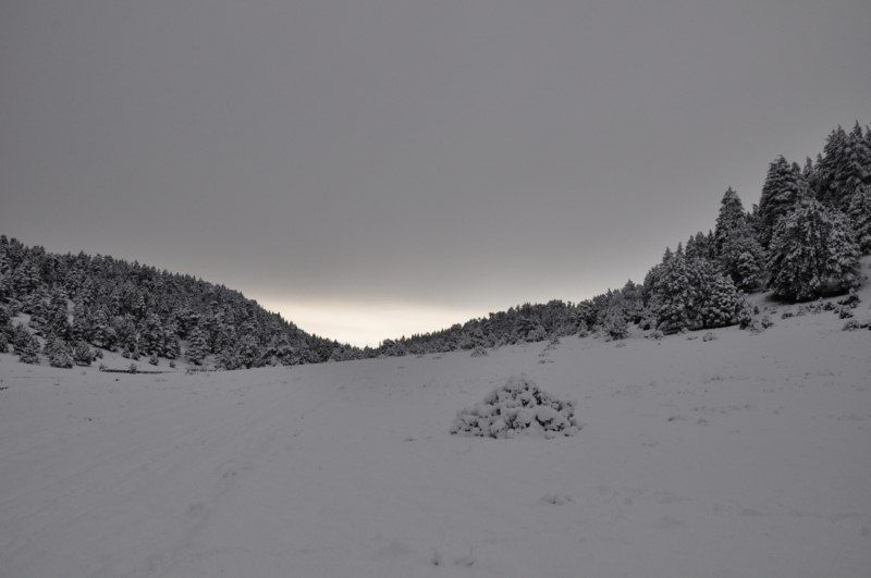 DSC_0436 [800x600].jpg