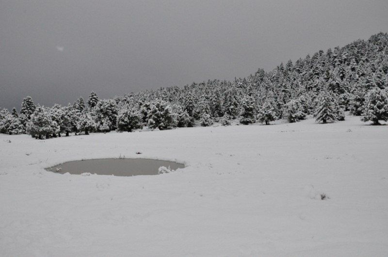 DSC_0437 [800x600].jpg