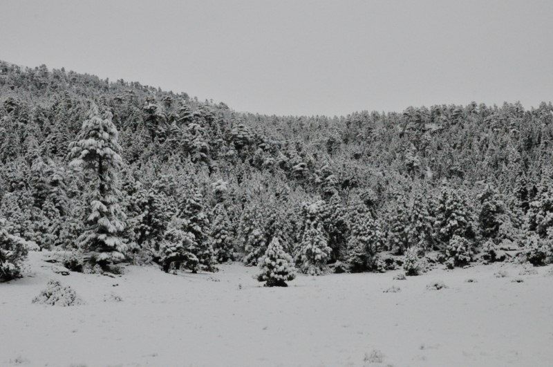 DSC_0440 [800x600].jpg