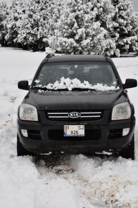 DSC_0445 [800x600].jpg