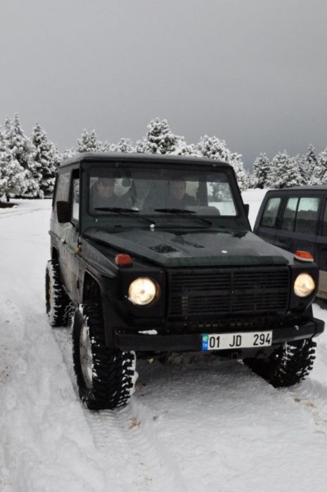 DSC_0446 [800x600].jpg