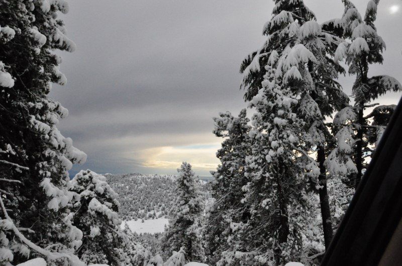 DSC_0451 [800x600].jpg