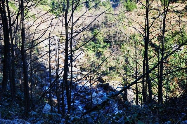 DSC_0459.jpg
