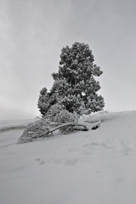 DSC_0462 [800x600].jpg