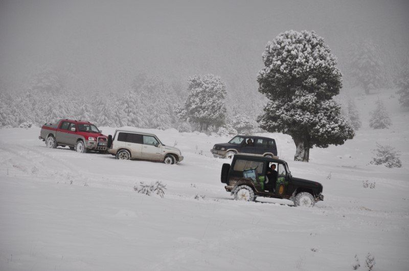 DSC_0467 [800x600].jpg