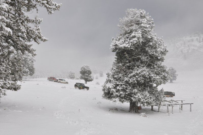 DSC_0470 [800x600].jpg