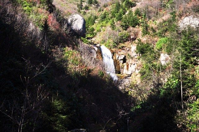 DSC_0470.jpg
