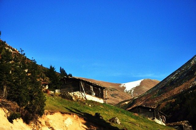DSC_0471.jpg
