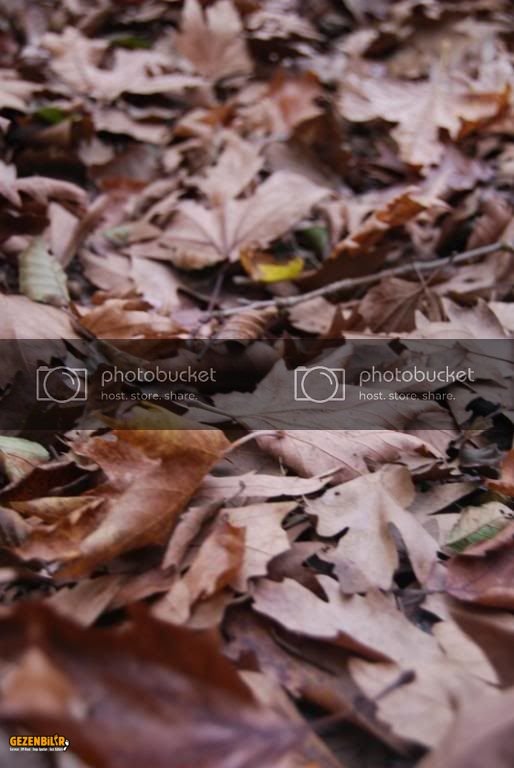 DSC_0478.jpg DSC_0478.jpg