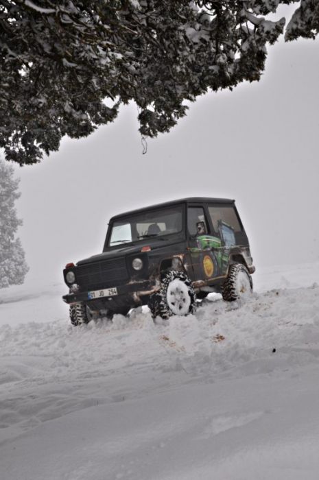 DSC_0484 [800x600].jpg