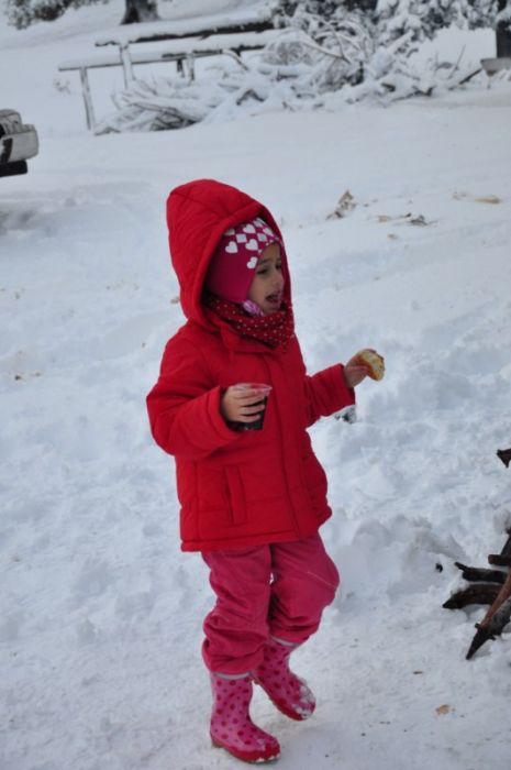 DSC_0533 [800x600].jpg