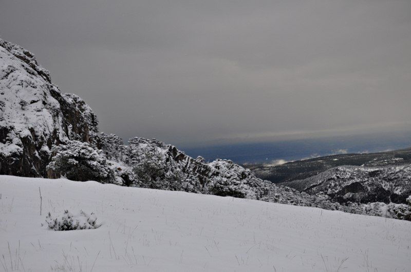 DSC_0560 [800x600].jpg