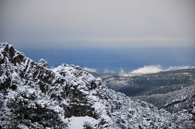 DSC_0568 [800x600].jpg