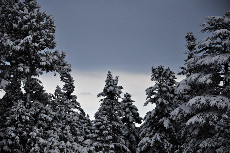 DSC_0573 [800x600].jpg