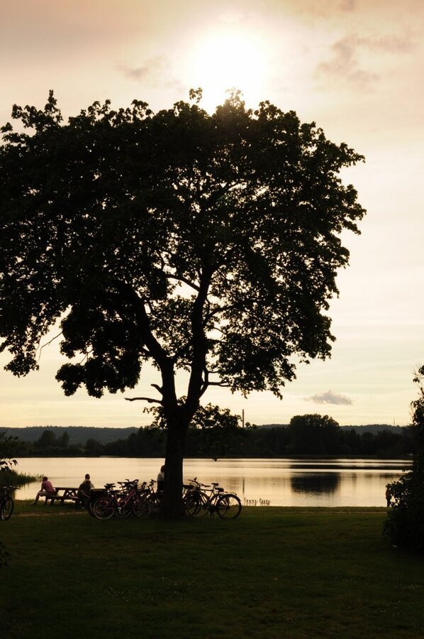 DSC_0587 (2)-001.JPG