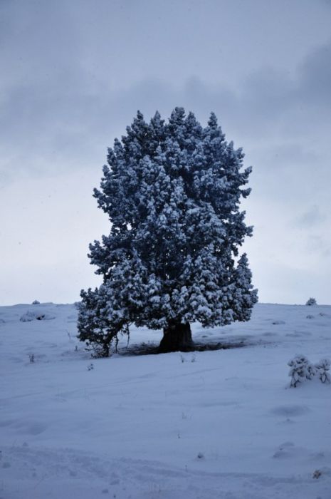 DSC_0587 [800x600].jpg