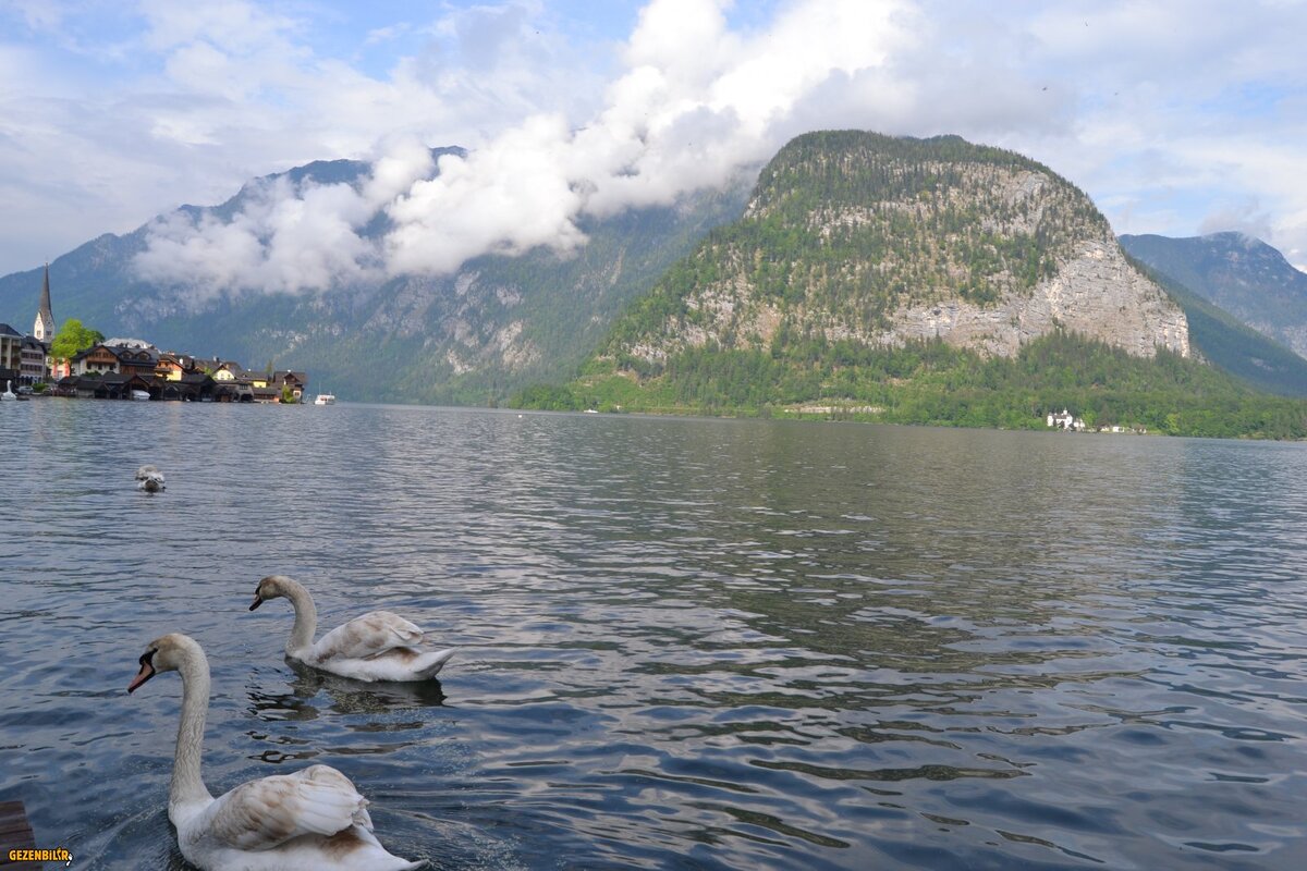 DSC_0589.JPG