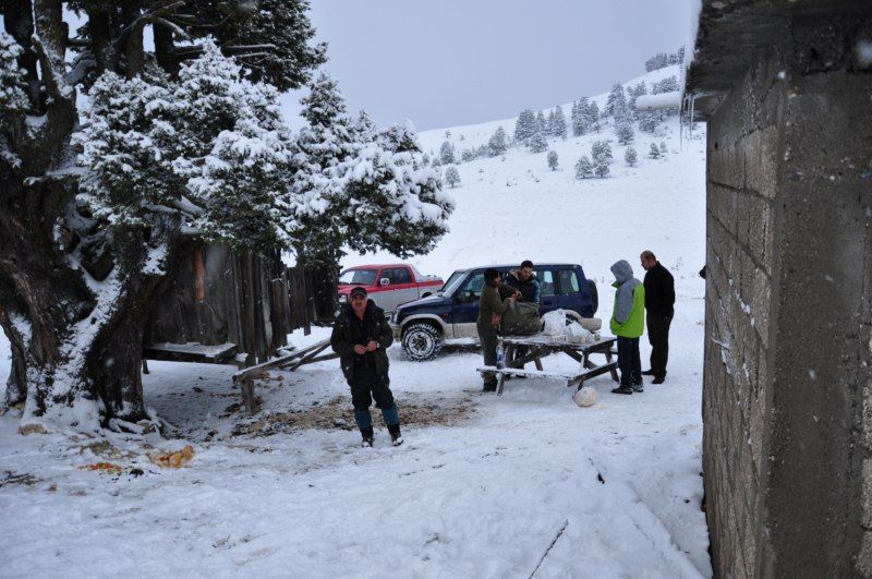 DSC_0593 [800x600].jpg