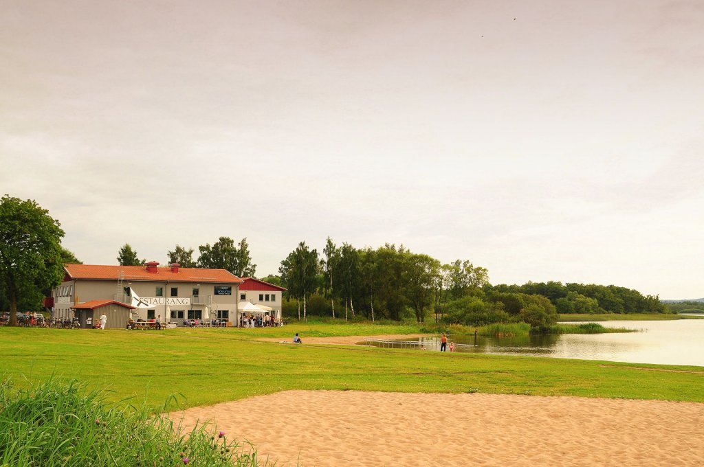 DSC_0597 (2)-001.JPG